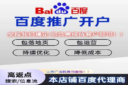 百度竞价广告在电商行业的应用及效果展示